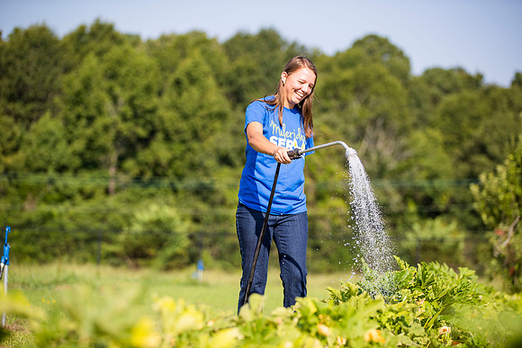 CommunityGarden_20
