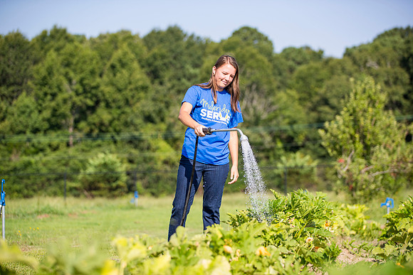 CommunityGarden_17