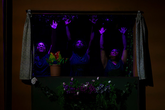 Little Shop of Horrors-18