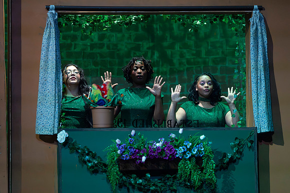Little Shop of Horrors-16