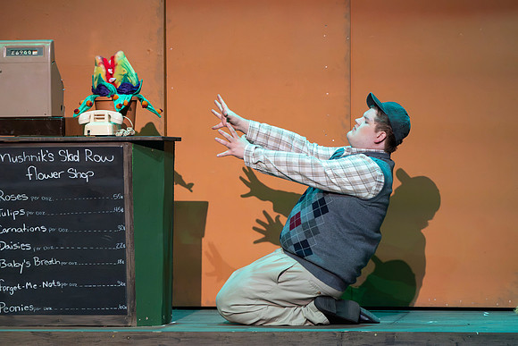 Little Shop of Horrors-24