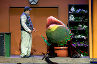 SP26: Little Shop of Horrors