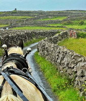 Aran Islands Buggy Ride