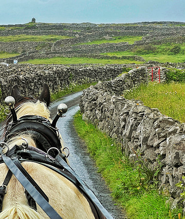 Aran Islands Buggy Ride