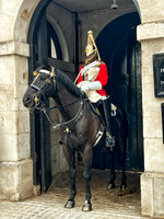 Horse Guard