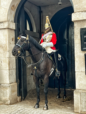 Horse Guard