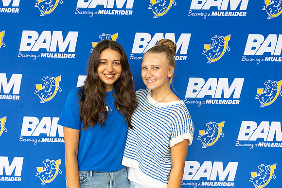 bam 7-71
