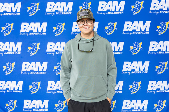 bam 7-733