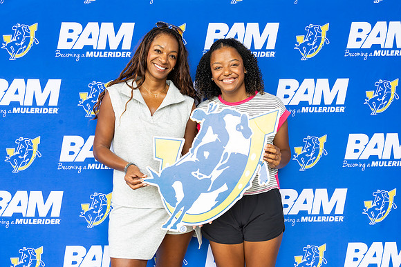 bam 7-738