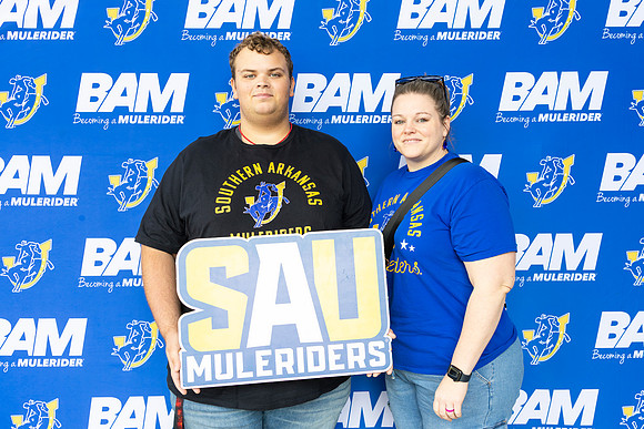 bam 7-739