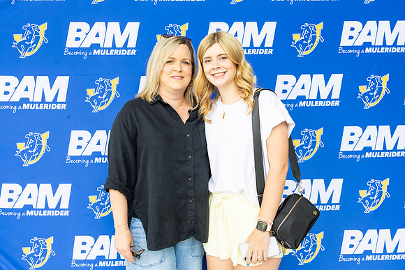 bam 7-741