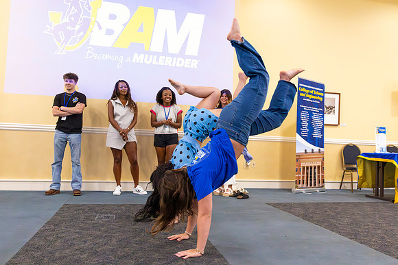bam 7-775