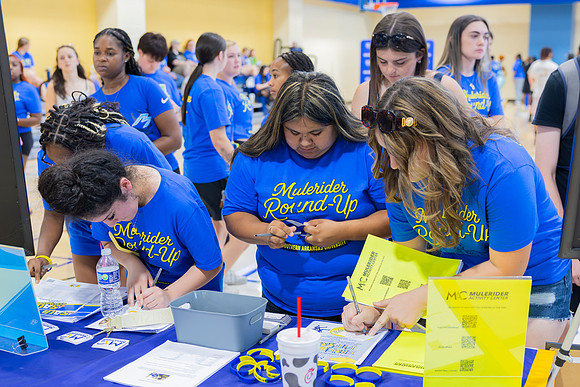 HW org fair_148