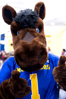 Blue and Gold Dining_16