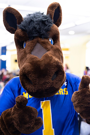 Blue and Gold Dining_16
