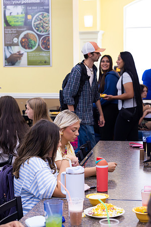 Blue and Gold Dining_29