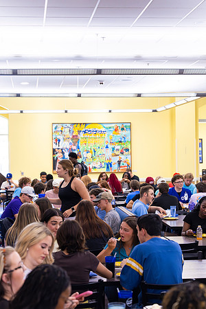 Blue and Gold Dining_32