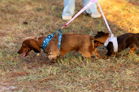 GreekFest_10