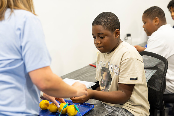 Lafayette Stem Lab22