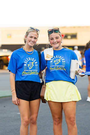 Blue and Gold Day_13