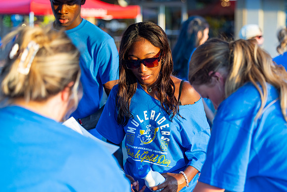 Blue and Gold Day_29