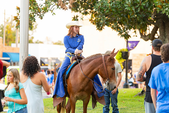 Blue and Gold Day_48