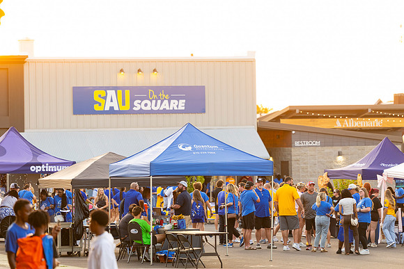 Blue and Gold Day_52