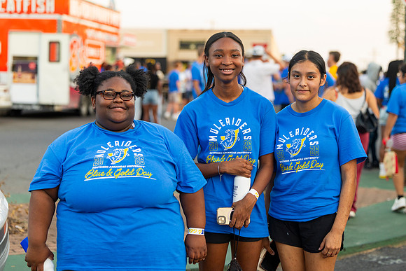 Blue and Gold Day_57