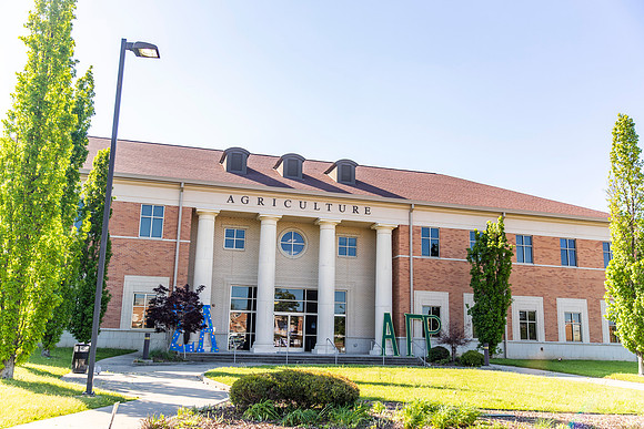 Around Campus254