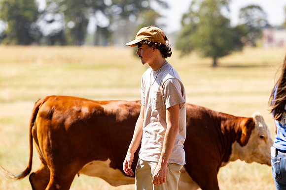 Farm_129
