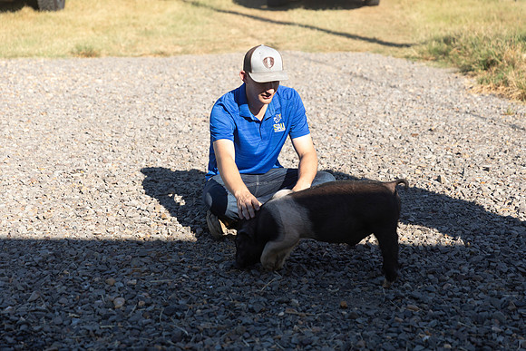 AnimalProduction_23