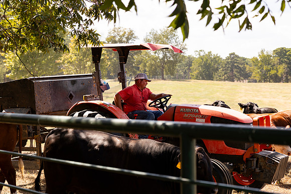 Farm_55