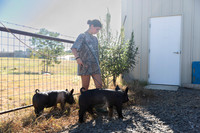 AnimalProduction_16