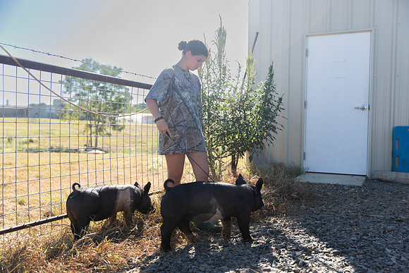 AnimalProduction_16