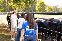 Farm_3