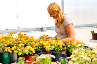 SAU Mum Sale_3