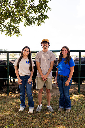 Farm_39
