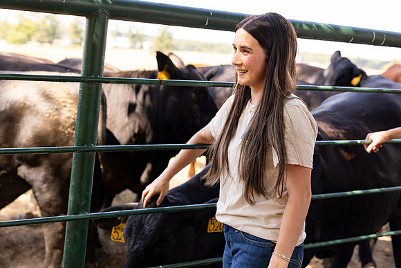 Farm_42