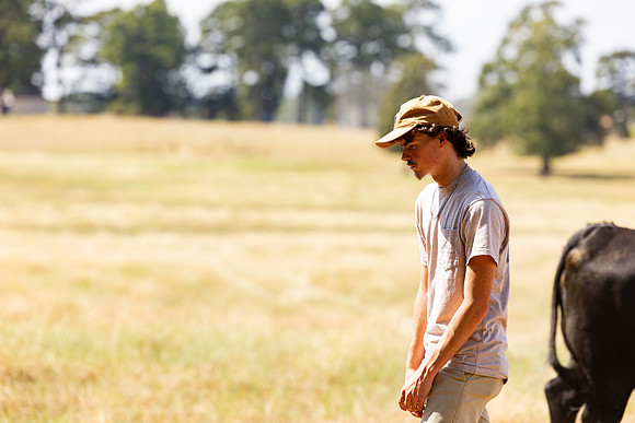 Farm_110