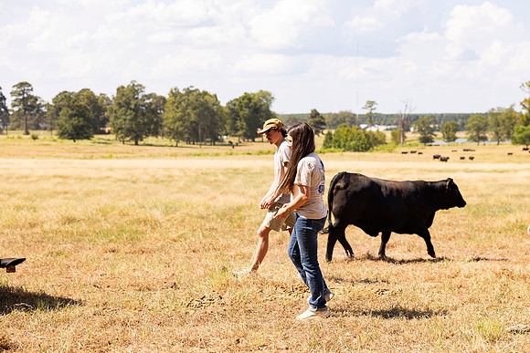 Farm_63