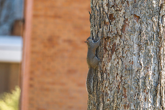 Around Campus231
