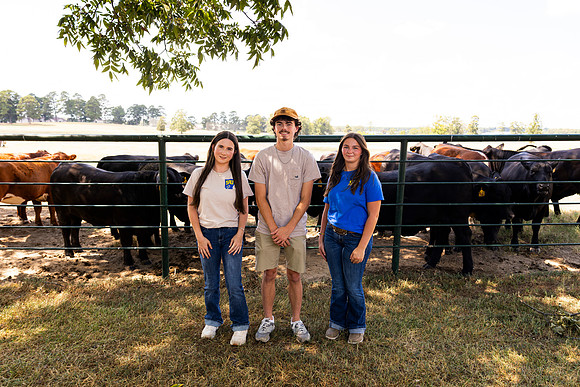 Farm_35