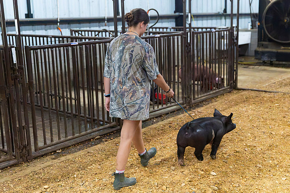 AnimalProduction_82