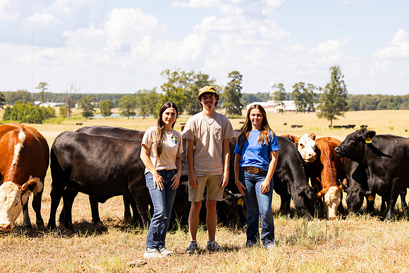 Farm_70
