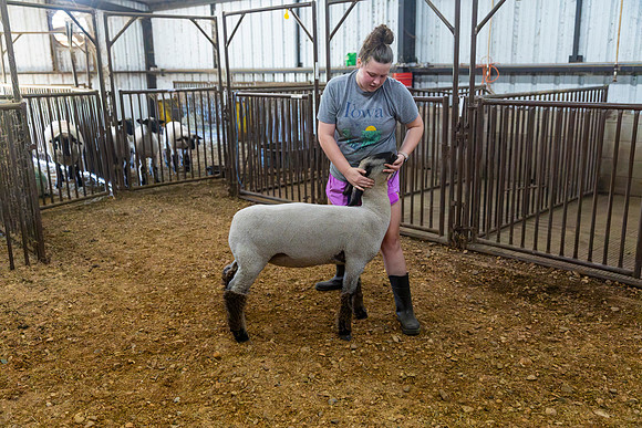 AnimalProduction_96