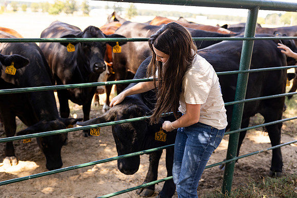 Farm_27