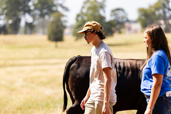 Farm_127