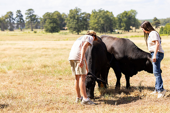 Farm_87