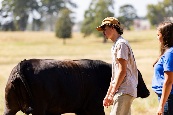 Farm_126