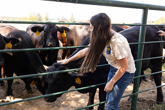 Farm_29